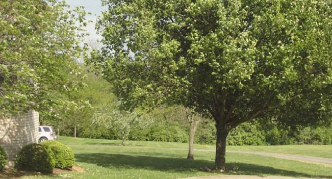 Versailles Rabbit Creek Bed & Breakfast المظهر الخارجي الصورة